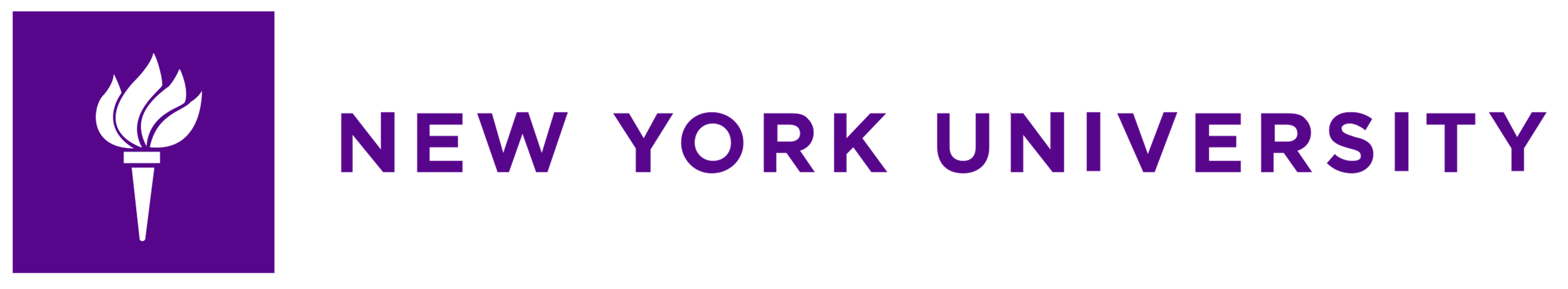 New York University